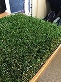 Luxury 30mm Pile Height Artificial Grass | Choose from 47 Sizes on this Listing | Cheap Natural & Realistic Looking Astro Garden Lawn | 4 x 6.5m of Cheap High Density Fake Turf
