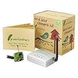 Green Feathers Wireless Outdoor Bird Box SD 700TVL Camera with Night Vision, Wireless Receiver, Wide Angle Lens - Perfect Wildlife Camera for your Garden, Nest Boxes, Bird Houses