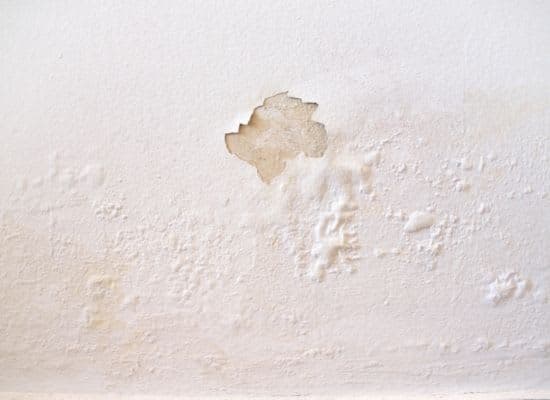 Paint